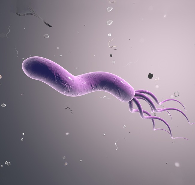 bakteria helicobacter pylori leczenie, zakażenie bakterią helicobacter pylori objawy